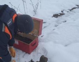 На Луганщині вилучено вісім одиниць вибухонебезпечних предметів