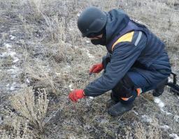 Піротехніками на Луганщині виявлено та вилучено 55 артилерійських снарядів 