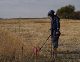 Піротехніками на Луганщині виявлено та вилучено 38 артилерійських снарядів 