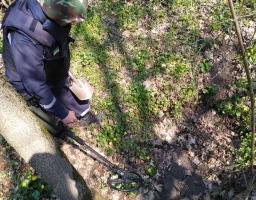 Піротехніками на Луганщині виявлено та знищено сім вибухонебезпечних предметів 