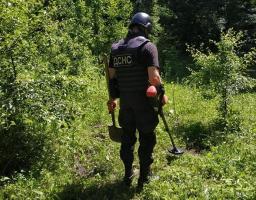 Піротехніками на Луганщині виявлено та вилучено 36 вибухонебезпечних предметів 
