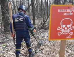 Піротехніками на Луганщині виявлено та вилучено 68 артилерійських снарядів 