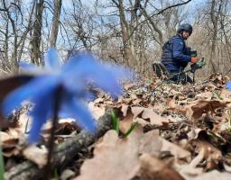 Піротехніками на Луганщині виявлено та вилучено 63 вибухонебезпечних предмети  