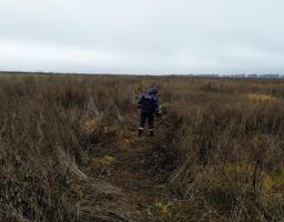 Піротехніками на Луганщині виявлено та вилучено 32 одиниці вибухонебезпечних предметів 