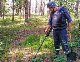Піротехніками на Луганщині вилучено 29 одиниць вибухонебезпечних предметів 