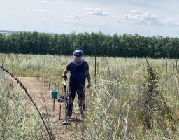 Піротехніками на Луганщині виявлено та вилучено 23 артилерійські снаряди 