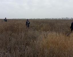 Піротехніками на Луганщині виявлено та вилучено 60 одиниць вибухонебезпечних предметів 