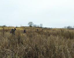 Піротехніками на Луганщині виявлено та вилучено дві одинці вибухонебезпечних предметів 