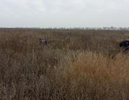 Піротехніками на Луганщині виявлено та вилучено 56 одиниць вибухонебезпечних предметів 