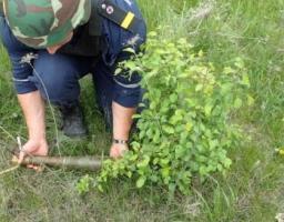 Піротехніками на Луганщині вилучено 29 одиниць вибухонебезпечних предметів