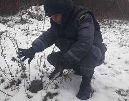 Піротехніками на Луганщині виявлено та вилучено 44 вибухонебезпечних предмети