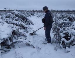 Піротехніками на Луганщині виявлено та вилучено 55 одиниць вибухонебезпечних предметів 