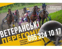 Ветеранів з Луганщини запрошують стати учасниками кінних перегонів. Тренування безкоштовні