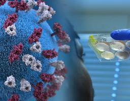 У Луганській області зафіксовано два нові випадки захворювання на COVID-19. Троє одужали