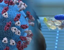 Лабораторно підтверджено 21 новий випадок COVID-19 в області за минулу добу