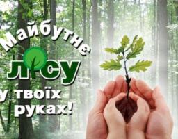  Луганщина долучилася до Всеукраїнської акції «Майбутнє лісу у твоїх руках»