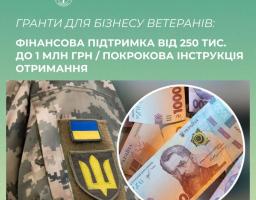 Державна служба зайнятості пропонує безповоротну та безпроцентну державну допомогу на створення або розвиток бізнесу для ветеранів, осіб з інвалідністю внаслідок війни та другого з подружжя