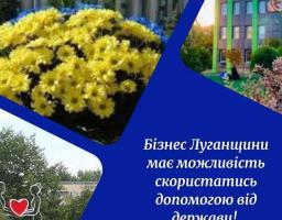 Програмами компенсаційних виплат за працевлаштованих можуть скористатися роботодавці Луганщини