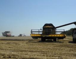 У Новопсковському районі вже зібрали понад 85 тис. тонн зерна