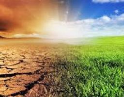 Як зупинити деградацію грунтів