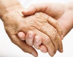 Продовжується соціальний захист ветеранів Великої вітчизняної війни за рахунок коштів обласного бюджету