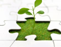 Як вирішувати соціальні проблеми бізнес-методами?