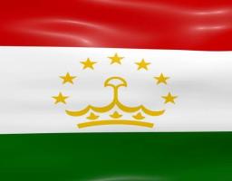 У державному бюджеті Таджикистану на 2017 рік передбачено надання певних податкових пільг на імпорт