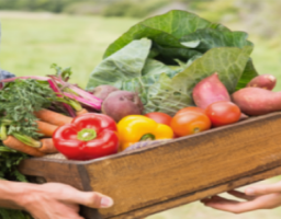 Державна підтримка розвитку фермерського господарства та сільськогосподарської обслуговуючої кооперації у 2019 році