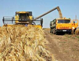 На Луганщині тривають жнива