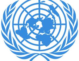 На 90-й сесії Комітету ООН у Женеві Україна відзвітувала щодо виконання Конвенції про ліквідацію всіх форм расової дискримінації