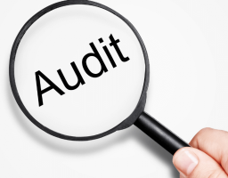 2,9 млн грн – сума недоліків, виявлених аудитом у Новопсковському центрі первинної медико-санітарної допомоги