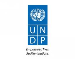 Визначено переможців конкурсу медіа-грантів від ПРООН