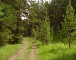 Правила поведінки у пожежонебезпечний період