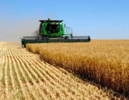 Держпідтримка-2020: Аграріям компенсовано близько 716 млн грн за придбану техніку і обладнання