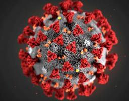 Лабораторно підтверджено 13 нових випадків COVID-19 в області за минулу добу