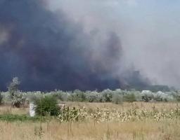 Будьте відповідальні! Не підпалюйте суху рослинність!