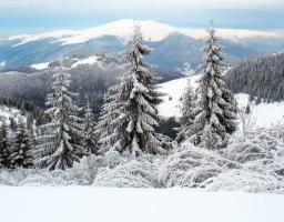 Вихованці шкіл-інтернатів вирушили на відпочинок до Івано-Франківщини