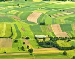 Землекористувачі та власники землі Луганщини сплатили майже 317 млн гривень