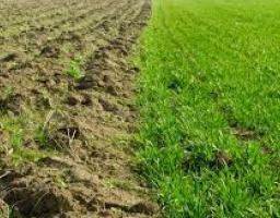 Реалізація прав спільної власності територіальних громад сіл, селищ міст Луганської області на землю