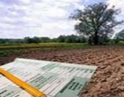 Луганщина в лідерах з підготовки проєктів землеустрою щодо відведення земельних ділянок за принципом екстериторіальності