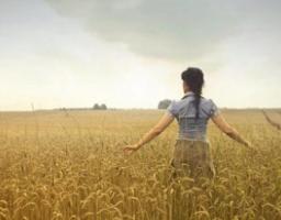 На Луганщині жінок із сільської місцевості навчатимуть підприємству